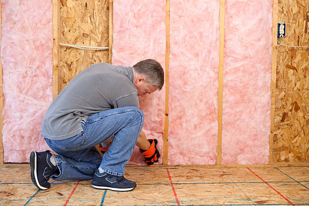 Professional Insulation Contractor in Bellevue, KY