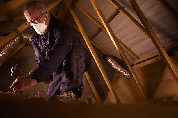 Types of Insulation We Offer in Bellevue, KY